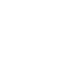 Ship Wing Texture